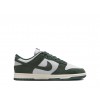 Replica Nike Dunk Low Next Nature 