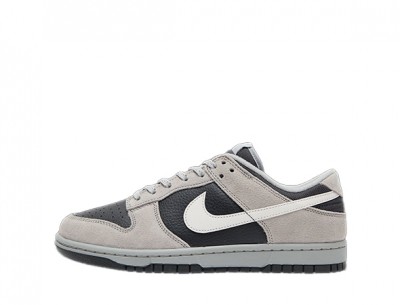 Replica Nike Dunk Low "Light Smoke Grey/Anthracite"