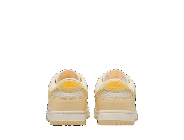 Fake Nike Dunk Low WMNS 