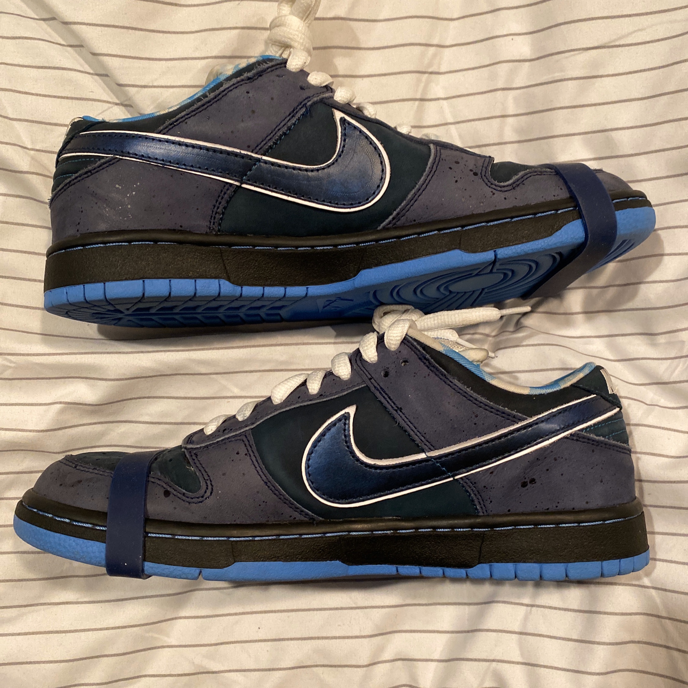 nike sb blue lobster legit check
